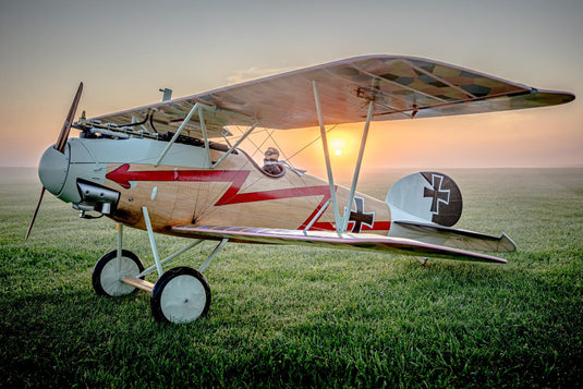 1/3 Scale Albatros D5/D5A