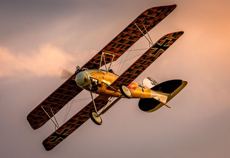 Load image into Gallery viewer, 1/3 Scale Albatros D5/D5A
