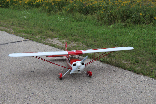 Citabria Aerobatic Pro